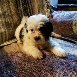 Meet your Posher, Maria